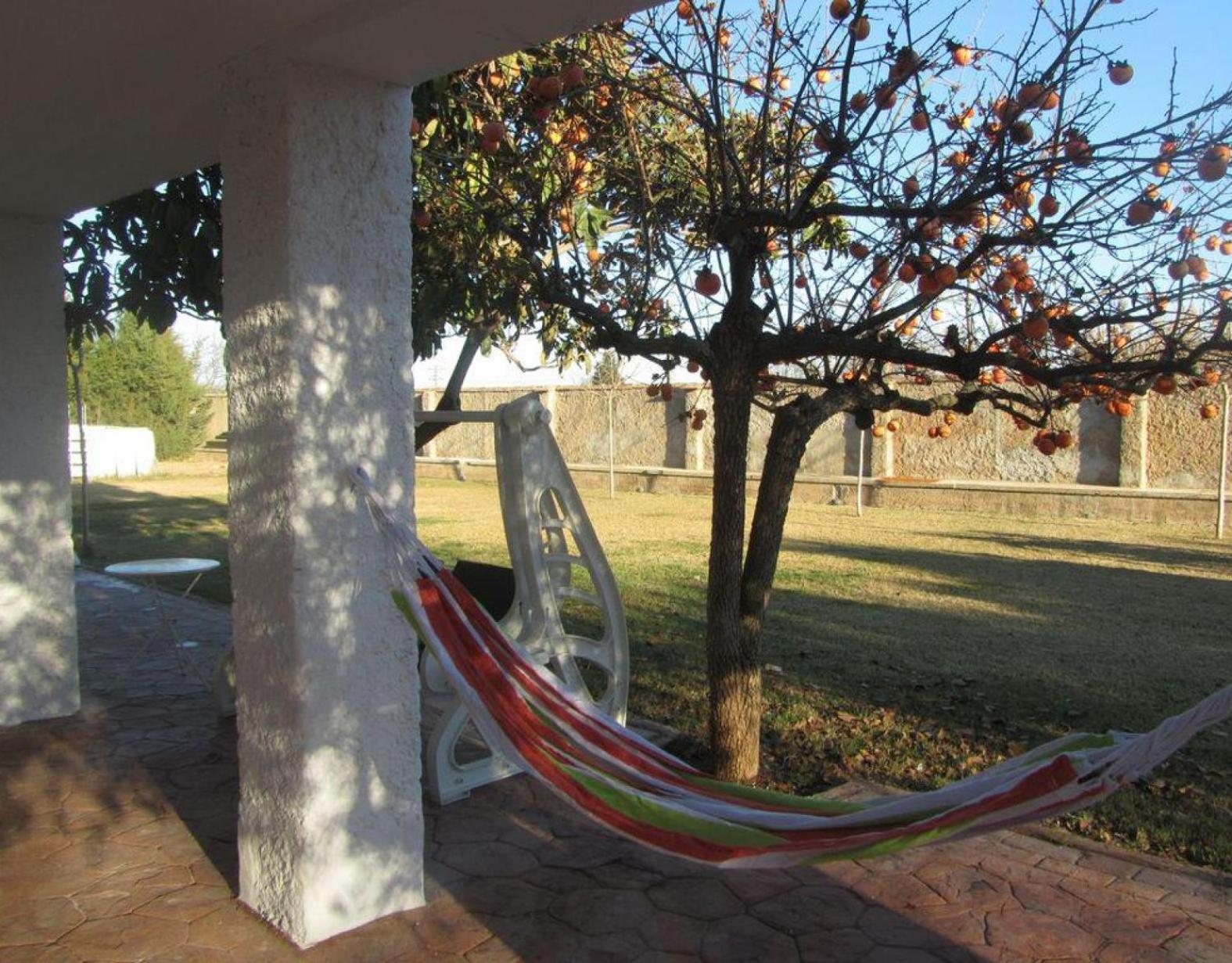 Santa Ana Villa Pedrola Ngoại thất bức ảnh